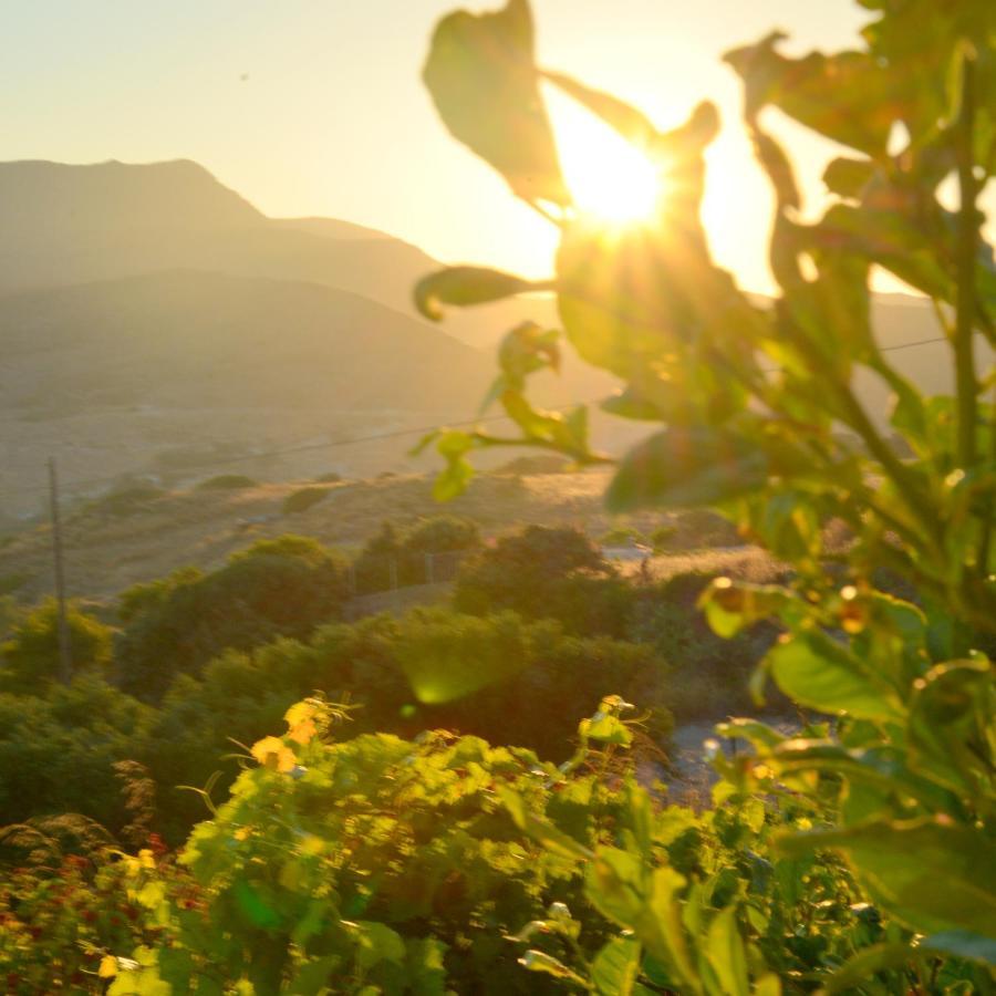 Provatas Sarantis Suites & Apartments מראה חיצוני תמונה